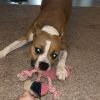 Helen photo 4
