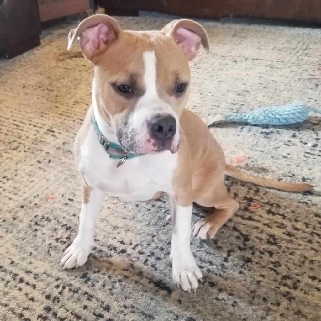 Helen