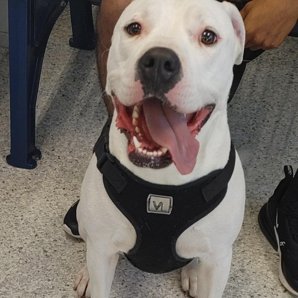 Max