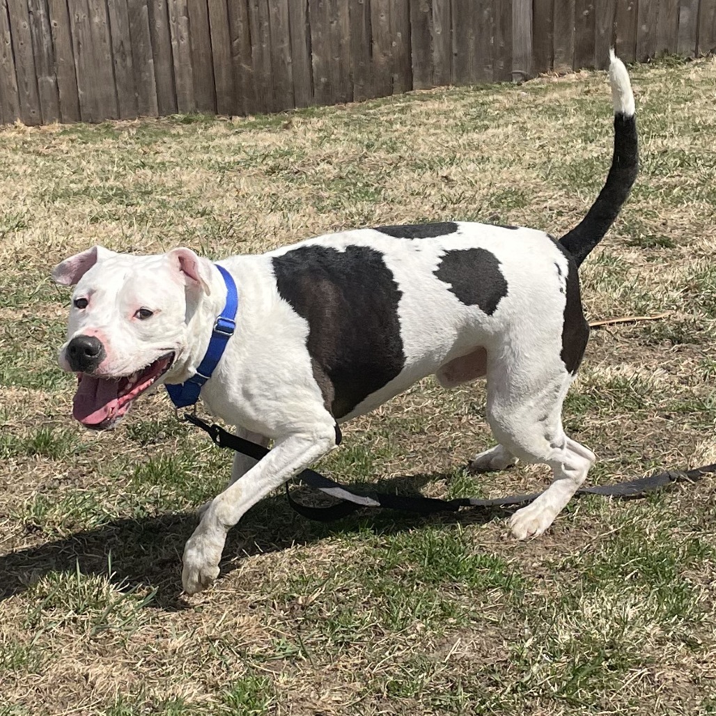 Max