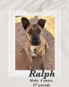 Ralph photo 1