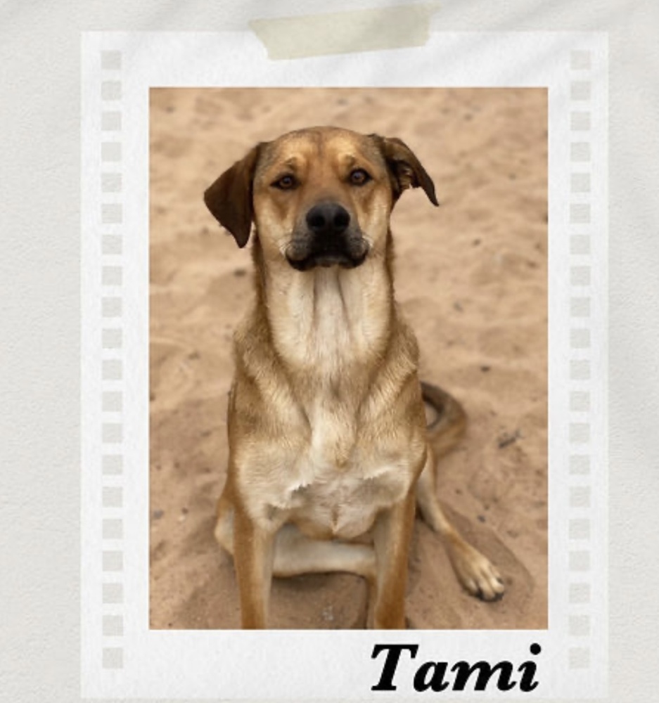 Tami
