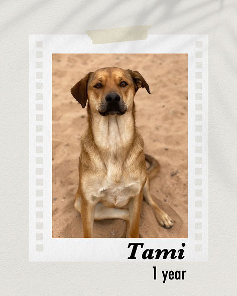Tami