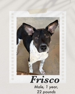 Frisco