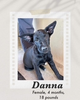 Danna