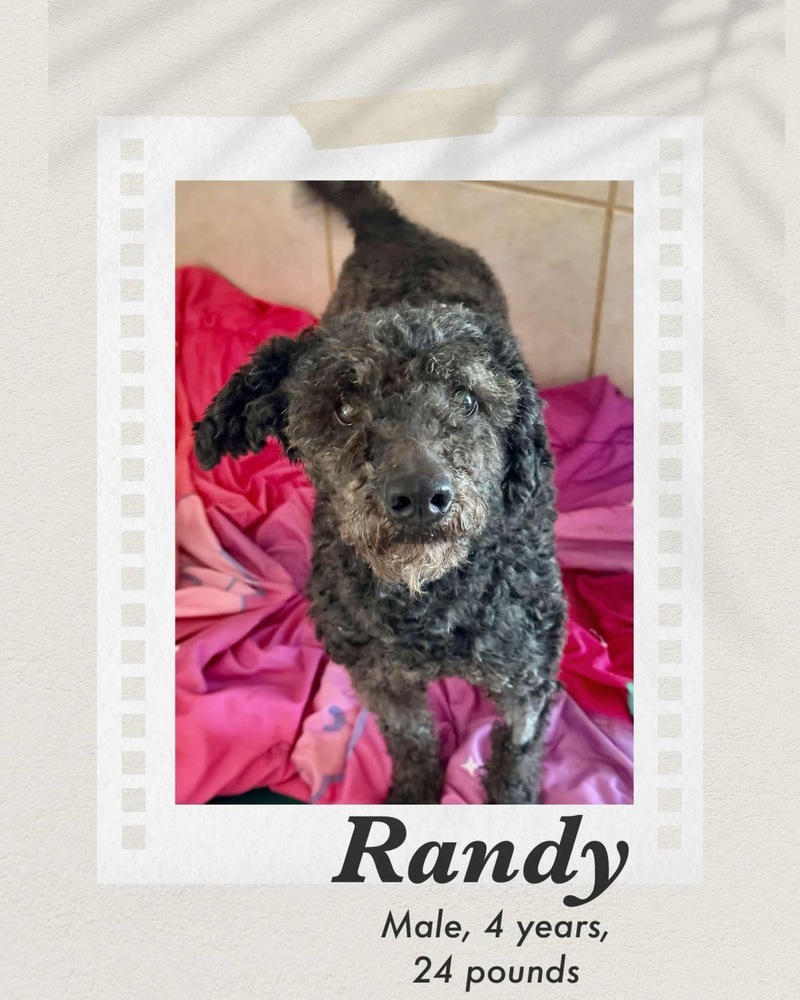 Randy