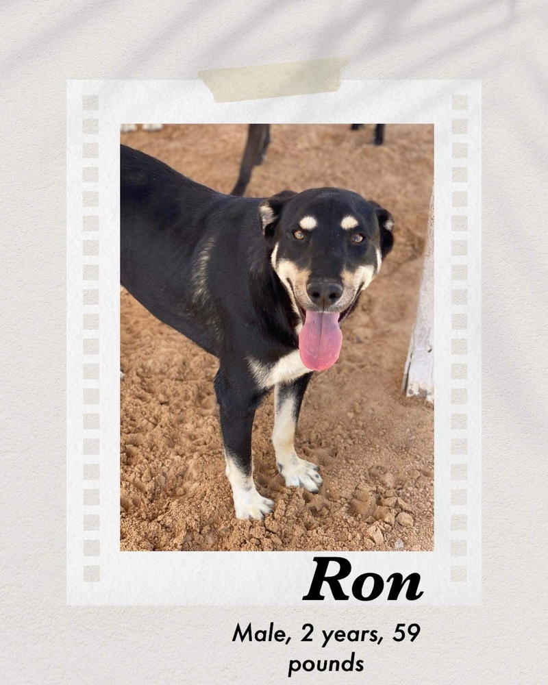 Ron