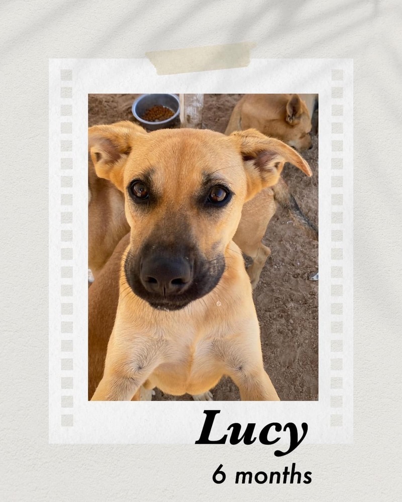 Lucy