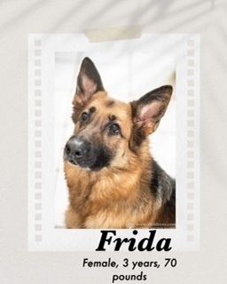 Frida