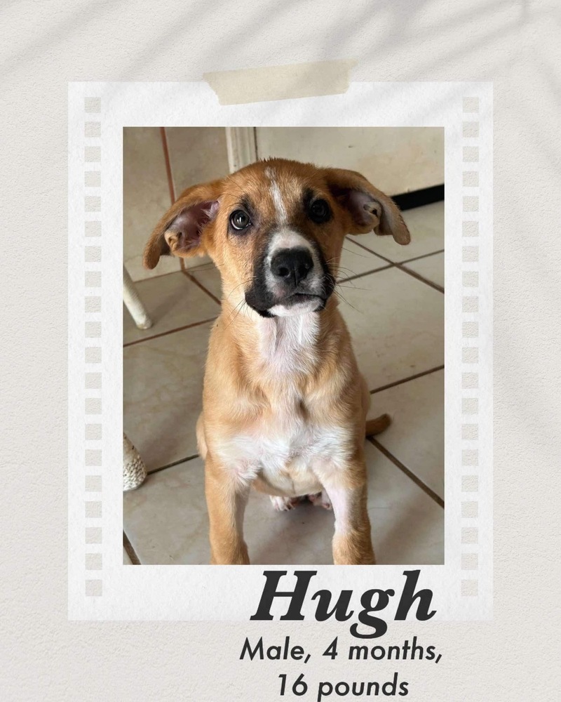 Hugh