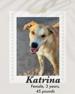 Katrina