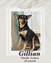 Gillian photo 2