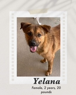 Yelana