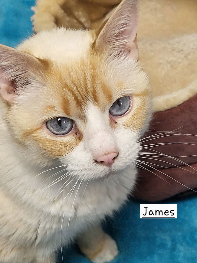 James