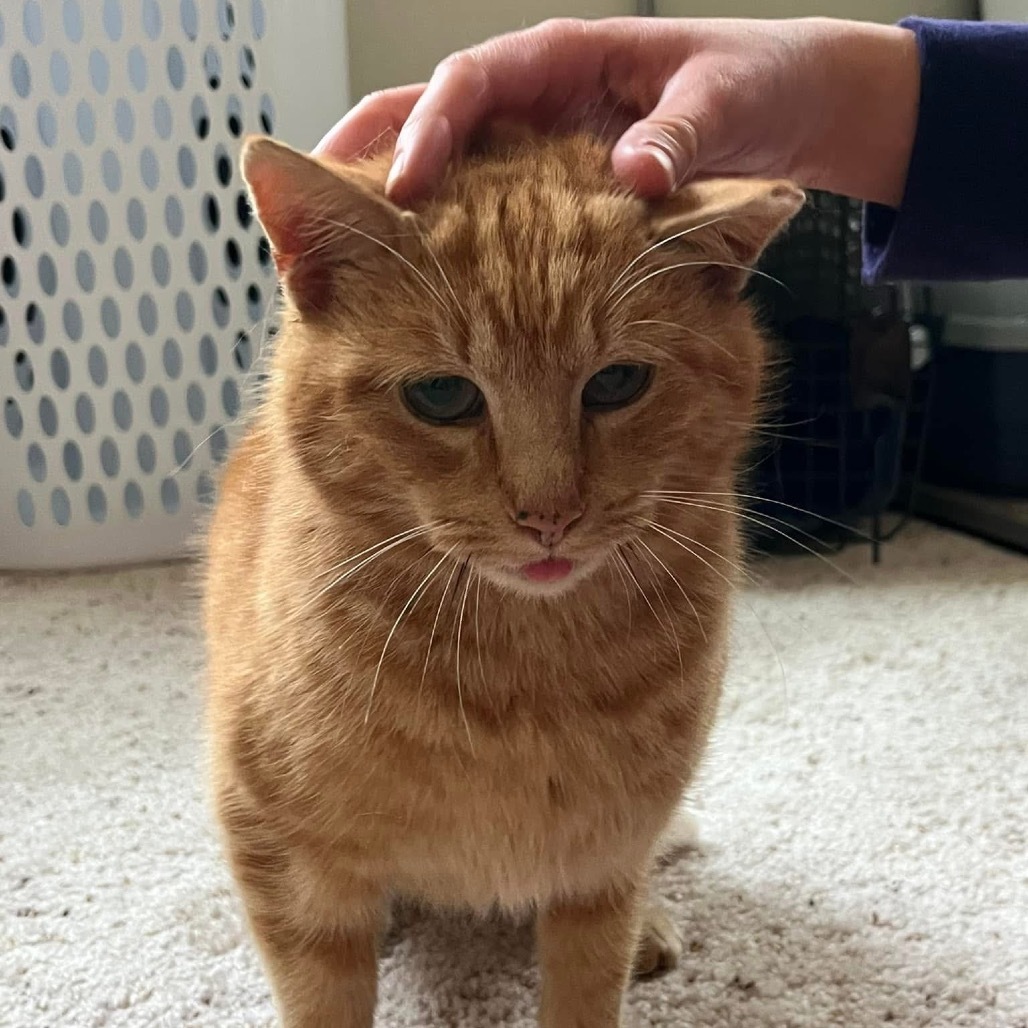 Mr. O'Malley