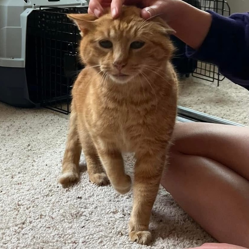 Mr. O'Malley