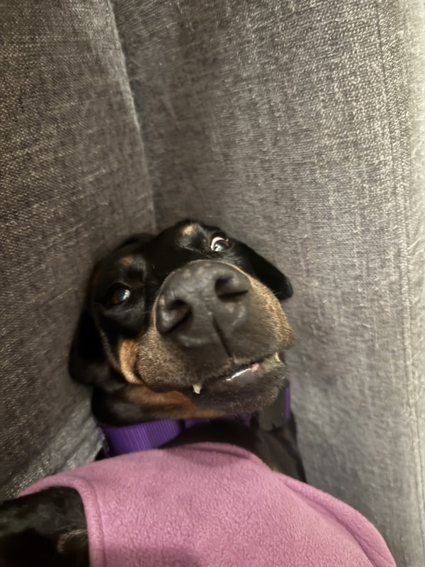 Delores