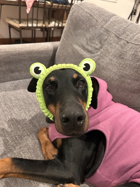 Delores