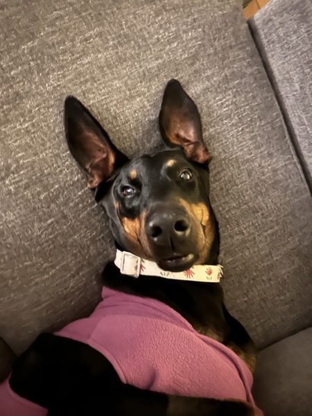 Delores