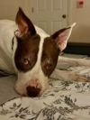 Walter photo 2