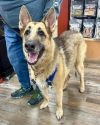 Lucy (Courtesy) photo 1