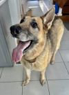 Lucy (Courtesy) photo 3