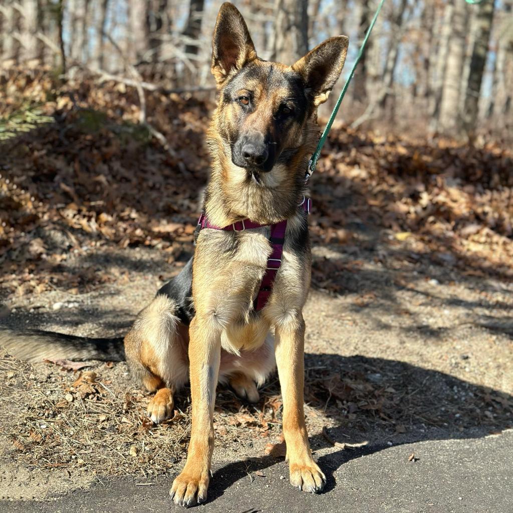 Ripley