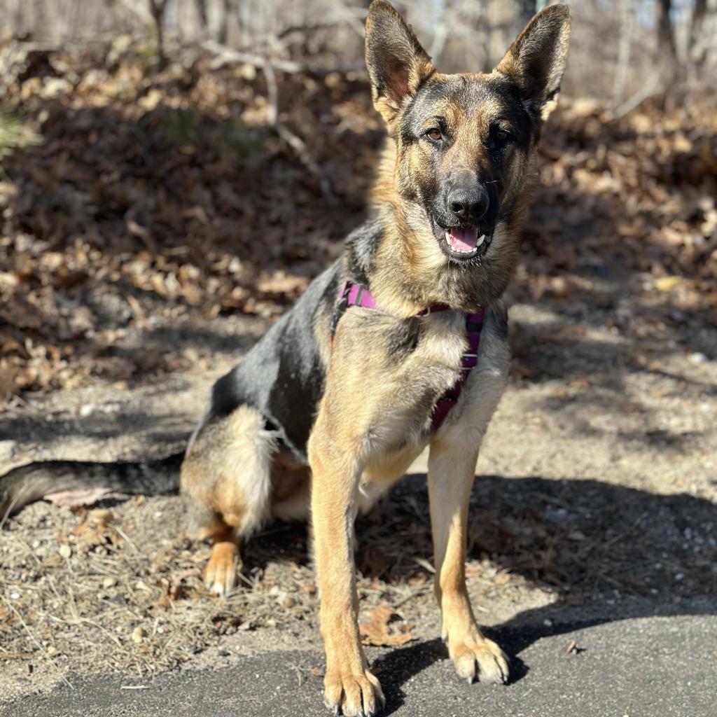 Ripley