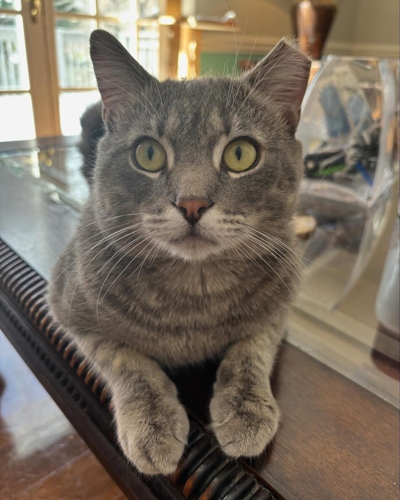 MERCURY