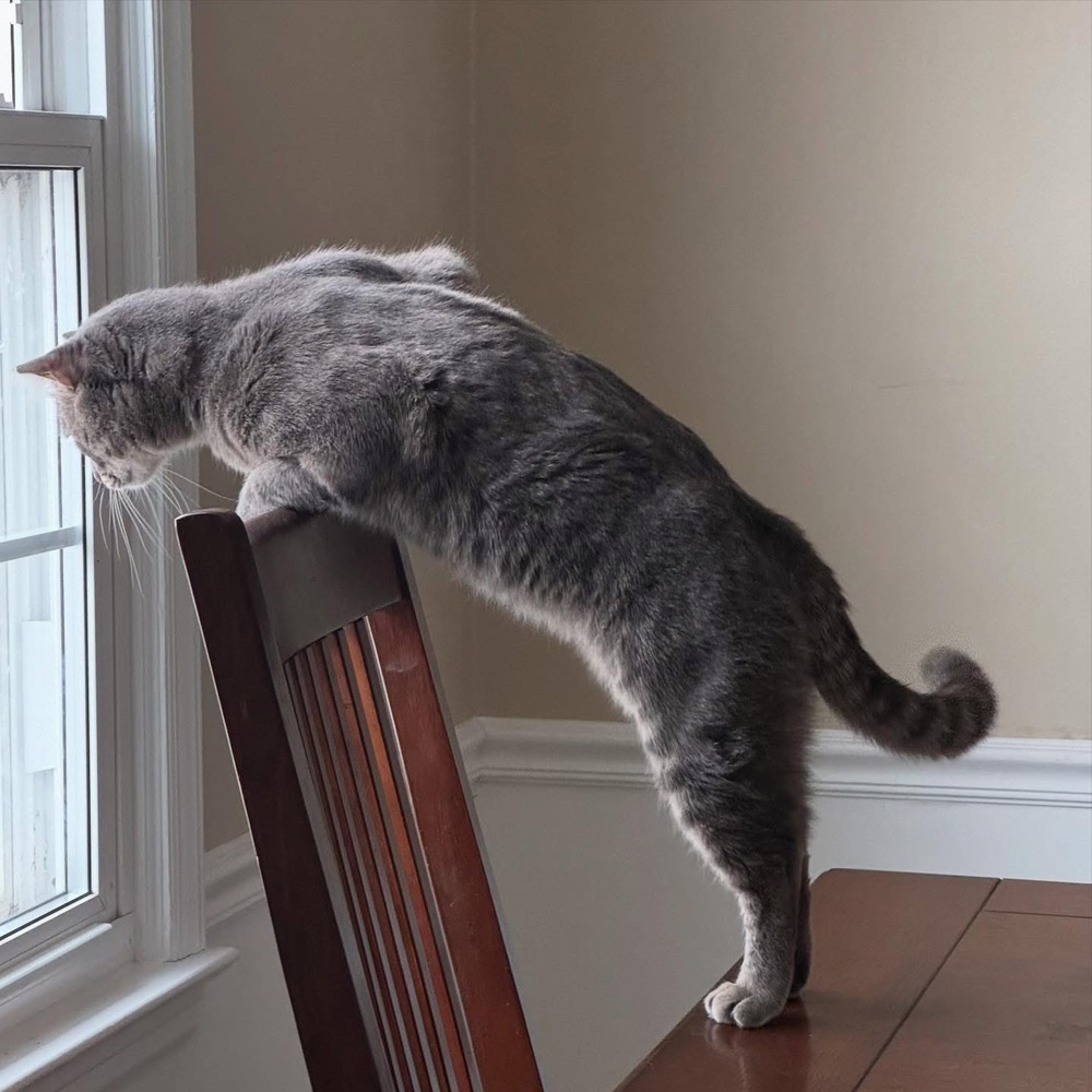 MERCURY