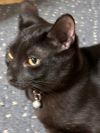 Rolo photo 2