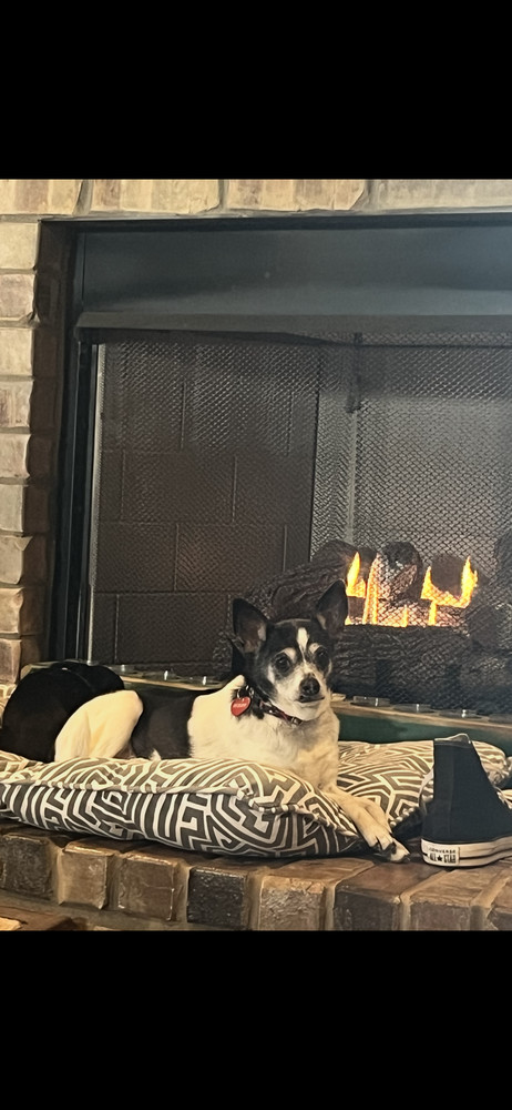 Miss Bonnie