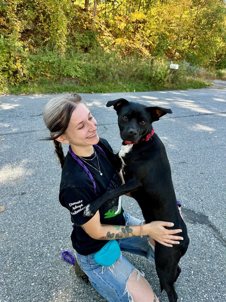 AC - Atlas (A Puppies)