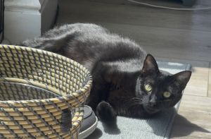 Little Sandy