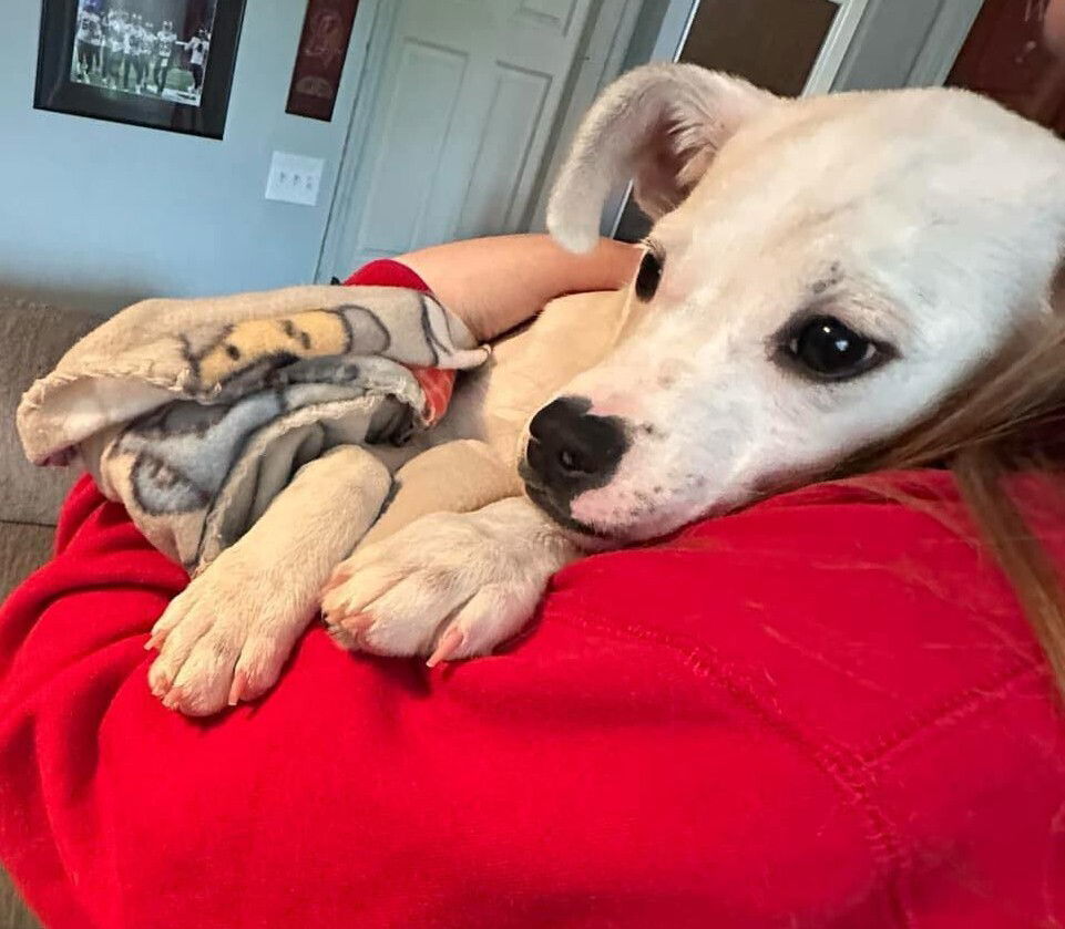 Riley (AL)