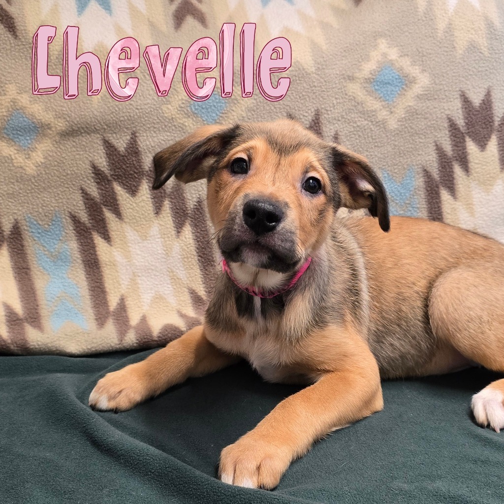 Chevelle