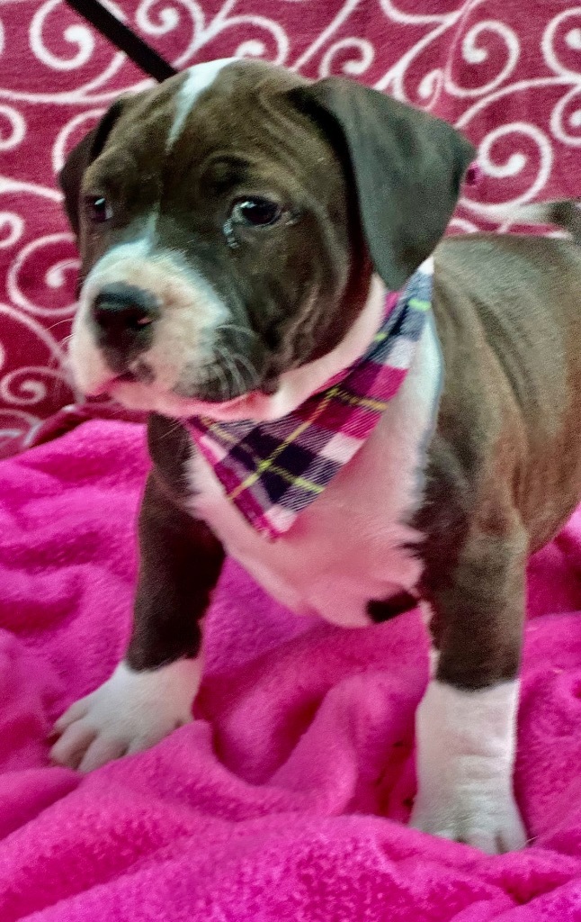 Maggie