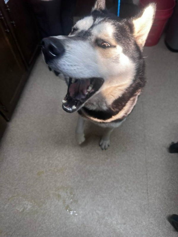 Baxter