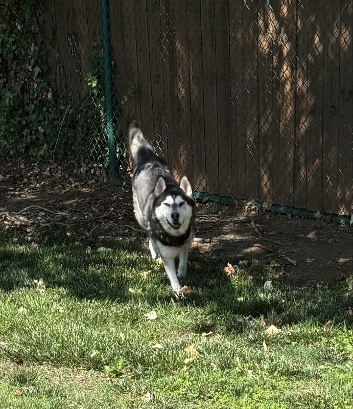 Baxter