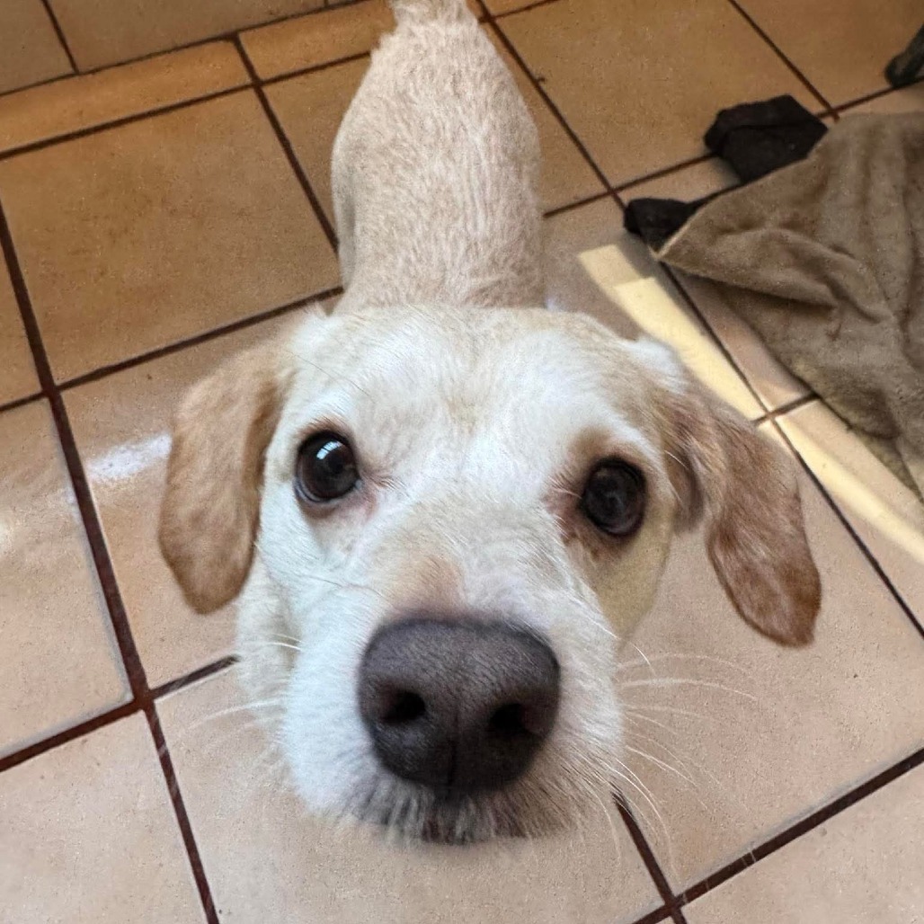 Benny