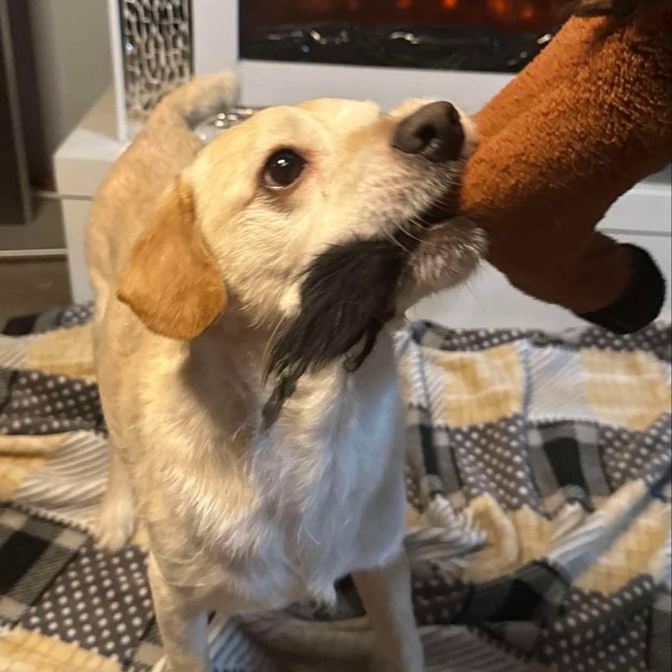 Benny