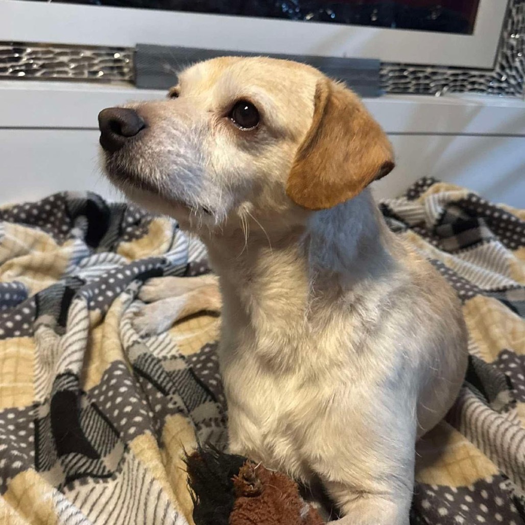 Benny