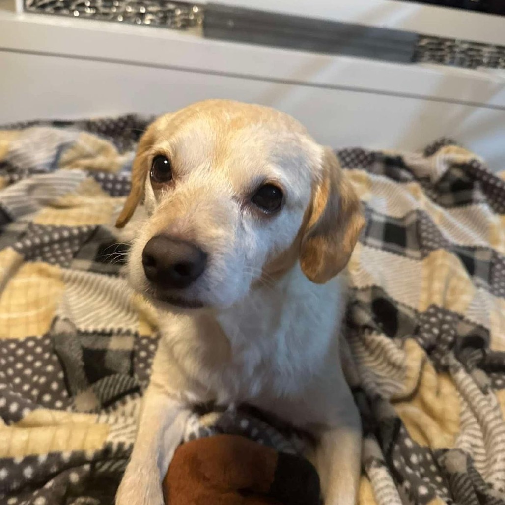 Benny