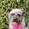 Lola photo 2
