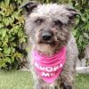 Lola photo 6