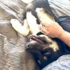 Korra photo 1