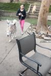 Marshmellow photo 3