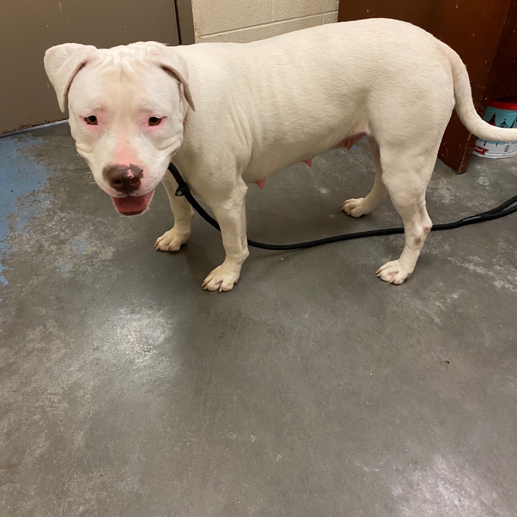 Stormy (Formerly Snowflake)