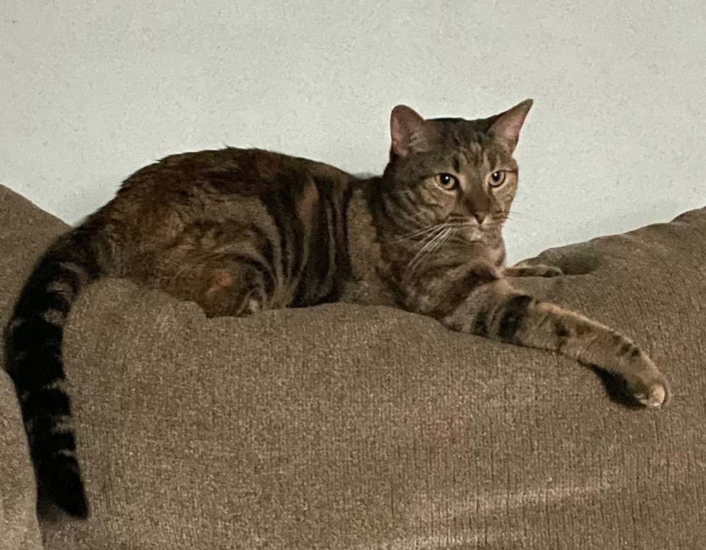 Sophie