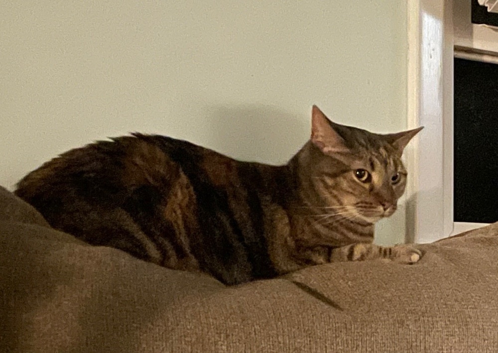 Sophie